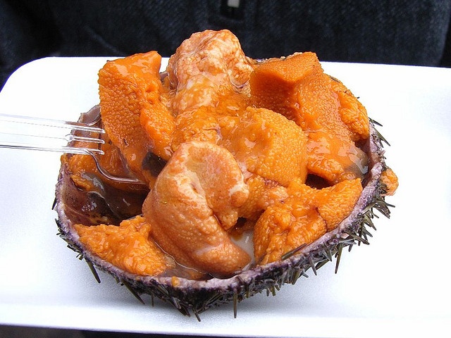 Sea urchin roe