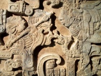 古代メソアメリカ文明の球技場遺跡で、体の血を抜く儀式が行われていた可能性