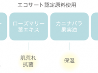 株式会社トゥエルヴホールドのプレスリリース画像