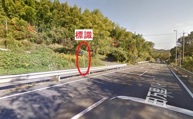 もう1本道路が存在する（画像は一部加工）（C）Google