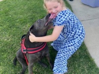 父親を亡くしたばかりの少女に寄り添い、慰め続けたのは、見知らぬ人が連れた散歩中の犬だった