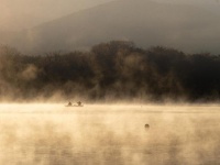 朝日の中、立ち込める毛嵐が輝いて...　富士山の前に広がる湖が神々しいまでに清らか