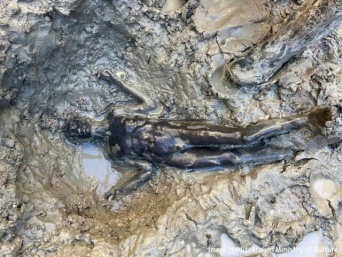イタリア・トスカーナの温泉で発見された2300年前の24体のブロンズ像