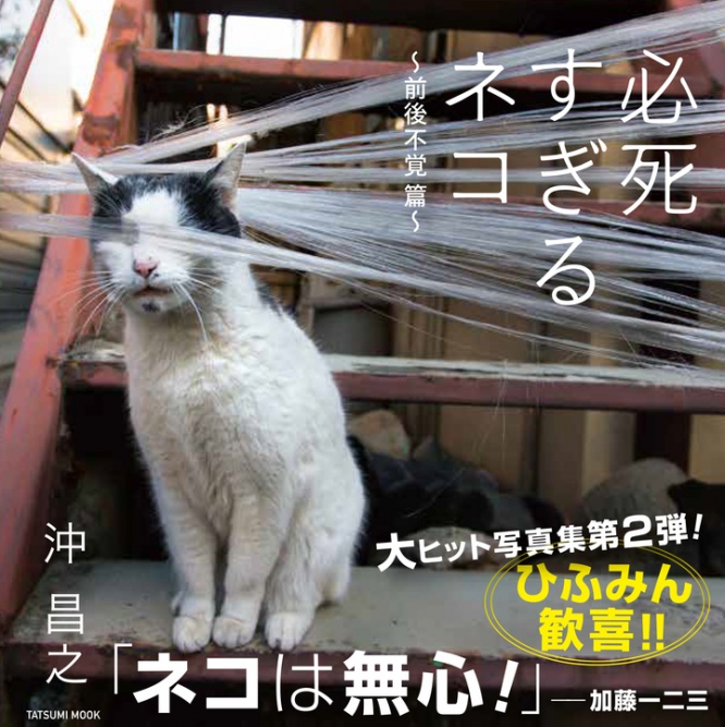 辰巳出版株式会社のプレスリリース画像