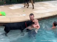 赤ちゃんに水は危険ですって！我が子を抱いてプールに入る飼い主に対し、水から出るよう促す犬
