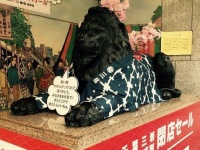 三越千葉店のシンボル、ライオン像（写真はJタウンネット編集部撮影）