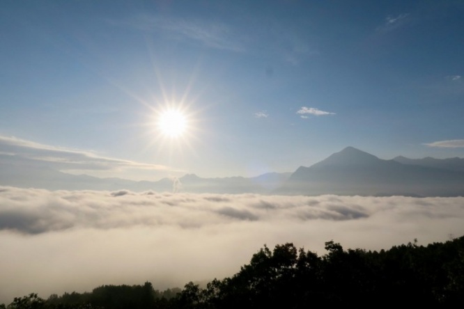 株式会社サーチフィールドのプレスリリース画像