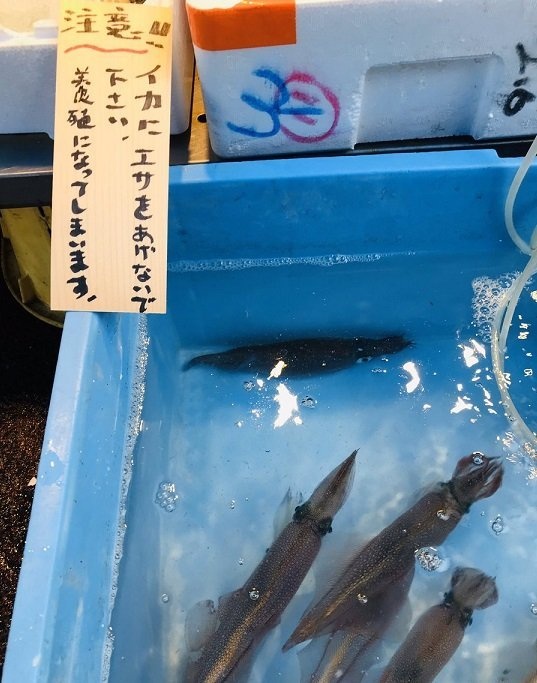 小田原魚國（＠odawarauokun）のツイートより