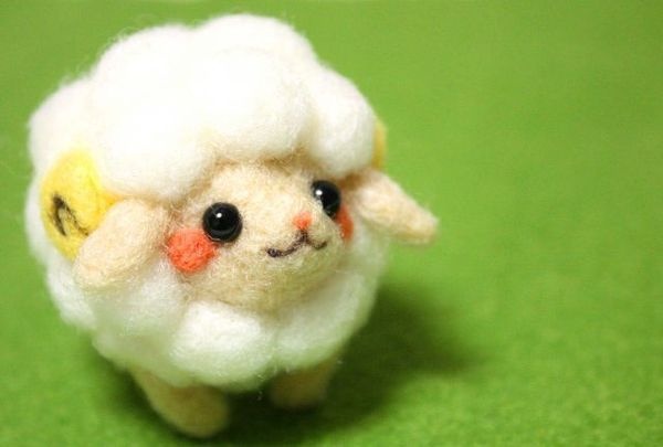 次の韓国旅行では是非行きたい！究極の癒し体験「羊カフェ」！
