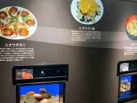 幻想的な水族館を回っていたら→料理の写真がドーン！　急に現実に戻される「謎すぎ展示」の真意とは