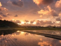 特別な場所ではないけれど...　日常に潜んでいた「忘れられない絶景」に感動