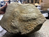 立派な「いちもつ」が彫刻されていた。イギリスで発見された古代ローマ時代の石臼
