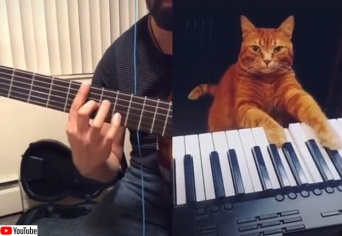 猫のピアノに合わせて飼い主のギターを演奏。いい曲できたじゃん！