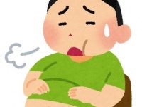 「動けなくなるほどお腹がいっぱいになった」←この状態を一言で表せる方言があった