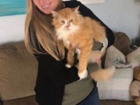 里子に出された猫、元家族をたずねて19km。折角再会できたのに、施設送りにされ安楽死寸前に(アメリカ)