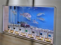以下画像は名古屋港水族館提供