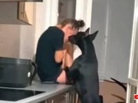 ねえ大丈夫？泣かないで…！悲しみに暮れる飼い主に寄り添い、優しく慰めるドーベルマン