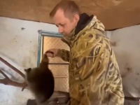ウクライナの動物園からアライグマとラマを奪い取るロシア兵の姿が目撃される