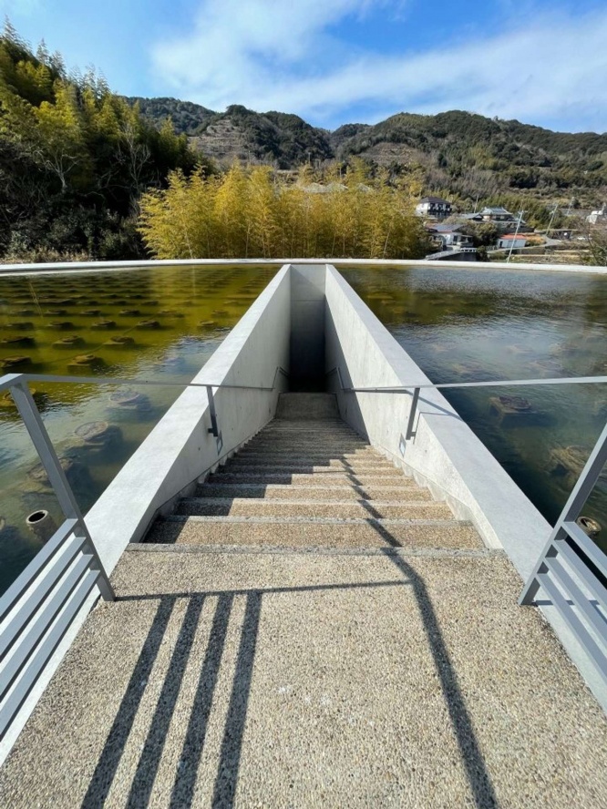 お寺の入り口とは思えない(画像は紅村こがね＠BenimuraKoganeさんのツイートより)