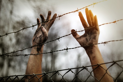 （C）Mikael Damkier / Shutterstock