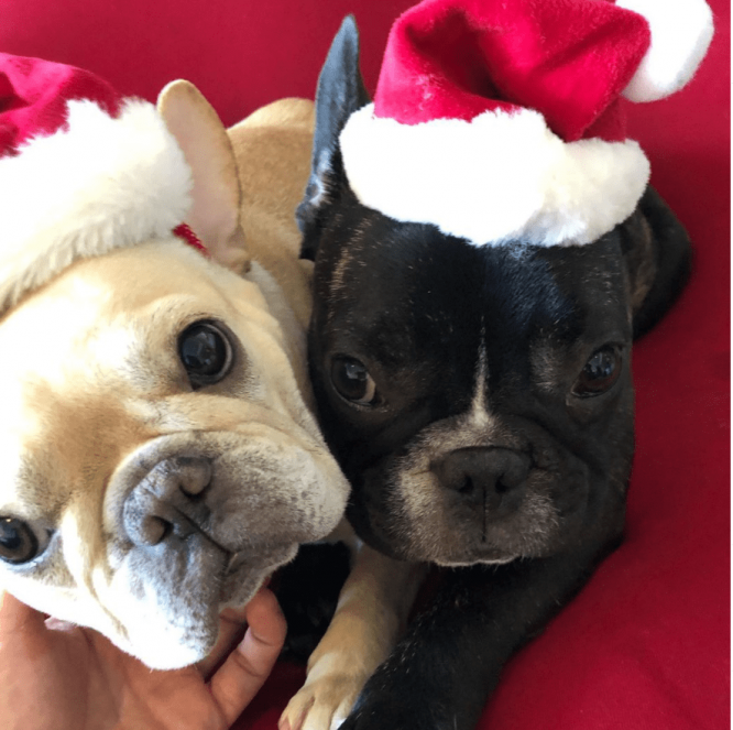 ※画像は草なぎ剛のインスタグラムアカウント『@tsuyoshikusanagi_official』より