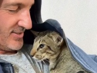 猫にとって「寒くなったら行くべきところ」は飼い主さんのフトコロしかない