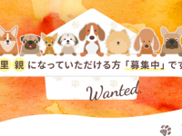 有限会社 Coo&amp;RIKUのプレスリリース画像
