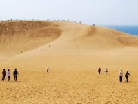鳥取砂丘（「Wikipedia」より）