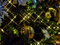 これは鉄板！ 彼氏と過ごすクリスマスの定番デート