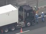 高速道路でカツオ渋滞が発生