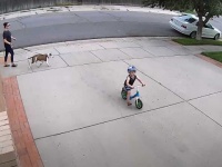 自宅の敷地内に毎日自転車で入り込んでくる少年に住民がとった対応がやさしさに溢れていた！（アメリカ）