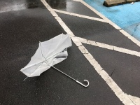地震、台風、天災はアイドルの天敵！？　ジャニーズ、公演中止のヒストリー