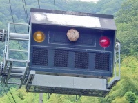 変な色の信号、かと思いきや...　まさかの場所にできちゃった「巨大ハチの巣」に注目集まる