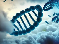 空に浮かぶ雲の中から薬剤耐性菌の遺伝子を大量に発見