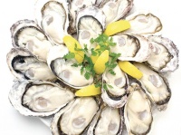 カキ好きには耳寄りな情報