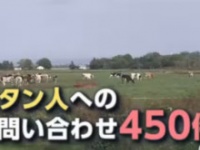 クローズアップ現代の公式ホームページより