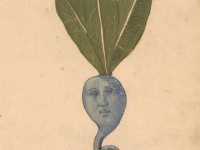 15世紀のイタリアの植物手稿「ハーバリウム」の挿絵がヴォイニッチ手稿っぽくて癖になる