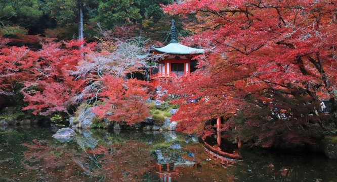 総本山醍醐寺のプレスリリース画像