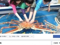 竹島水族館のFacebookより