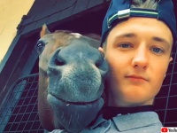 騎手と馬のシンクロ芸。騎手の真似をする馬の仕草がかわいい！