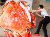 カニ食べたい？むしろ食べられちゃいたいくらいにカニが好き？ならば巨大カニの掛布団とかどうだろう？