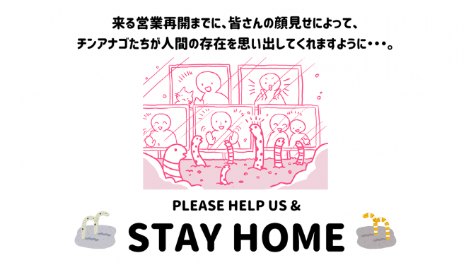 すみだ水族館 チンアナゴ