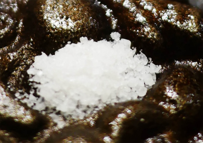 salt-and-hamburger-steak3