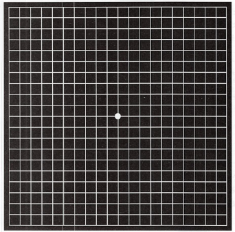 平松　類のプレスリリース画像