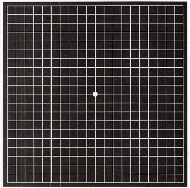 平松　類のプレスリリース画像