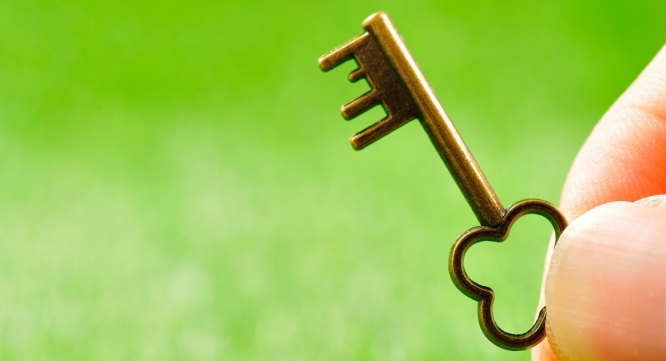 Dream Art Laboratoryのプレスリリース画像