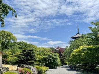 写真はイメージです