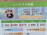 動物園の「たぬきのステータス」ポスターに、ウマ娘トレーナー大盛り上がり　飼育員の「推し」はやっぱり...