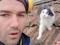「オマエ、何を言ってるんにゃ？」猫の鳴き真似をしてみたら、後ろの猫に何やら意味が伝わったらしい