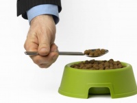 イギリスの深刻な物価高騰。生活が苦しくてペットフードを食べる人も